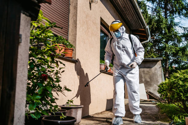Best Emergency Pest Control  in Castle Rock, WA
