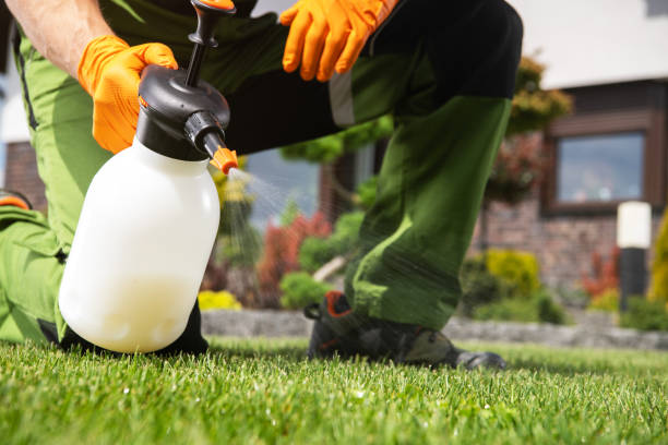Best Flea Control Services  in Castle Rock, WA