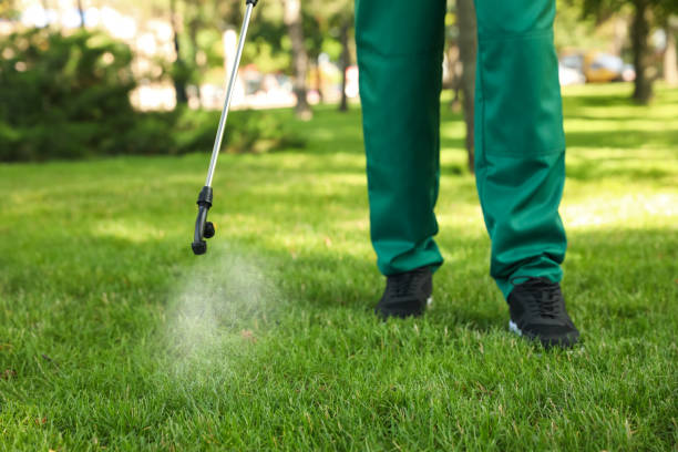 Best Flea Control Services  in Castle Rock, WA