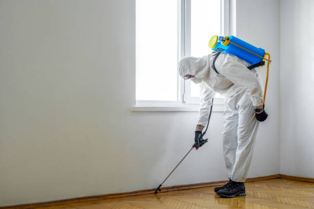 Best Pest Prevention Services  in Castle Rock, WA