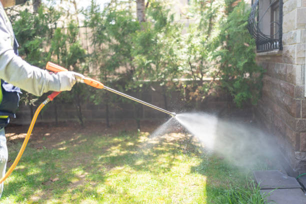 Best Rat Extermination Near Me  in Castle Rock, WA