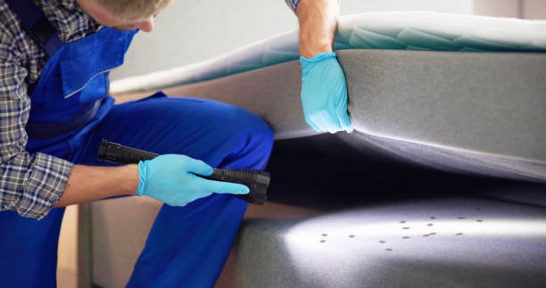 Pest Control Cost in Castle Rock, WA