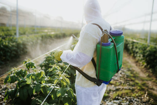 Best Best Pest Control Companies  in Castle Rock, WA